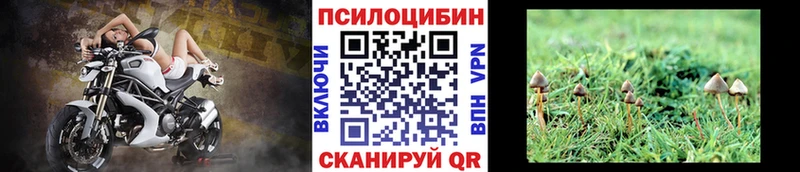 Галлюциногенные грибы Cubensis  Чёрмоз 
